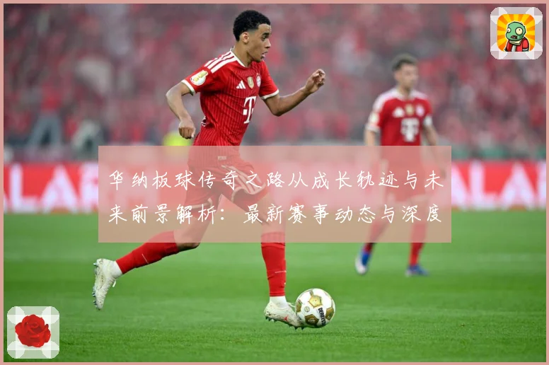 华纳板球传奇之路从成长轨迹与未来前景解析：最新赛事动态与深度分析