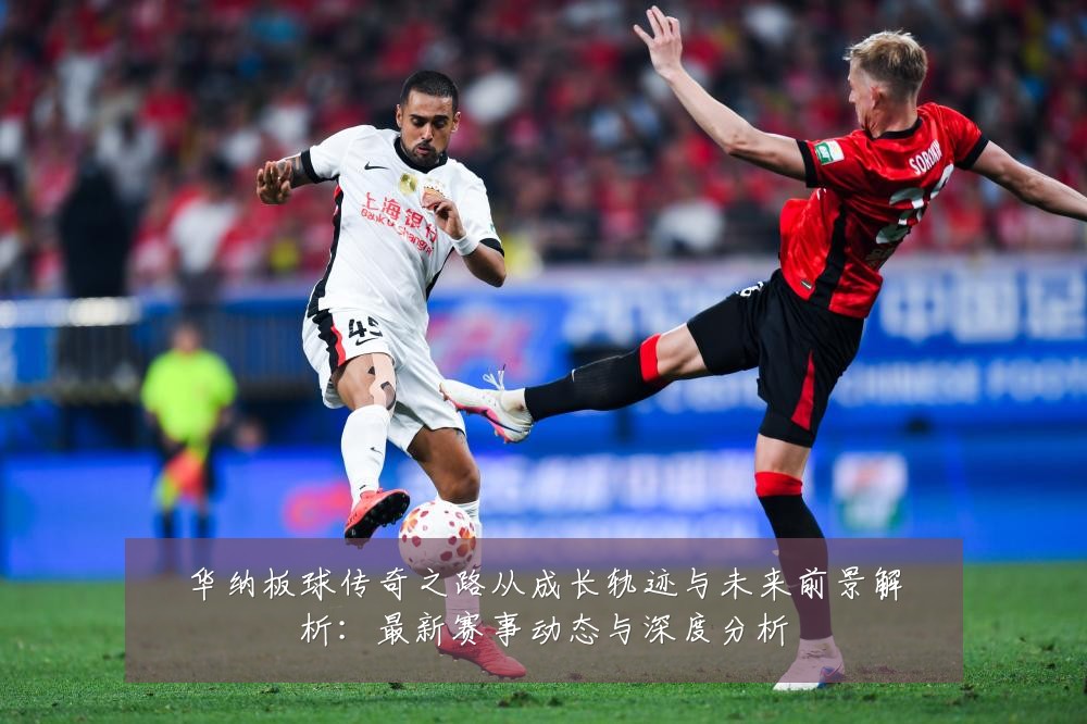 华纳板球传奇之路从成长轨迹与未来前景解析:最新赛事动态与深度分析