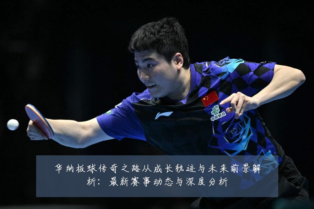 华纳板球传奇之路从成长轨迹与未来前景解析:最新赛事动态与深度分析